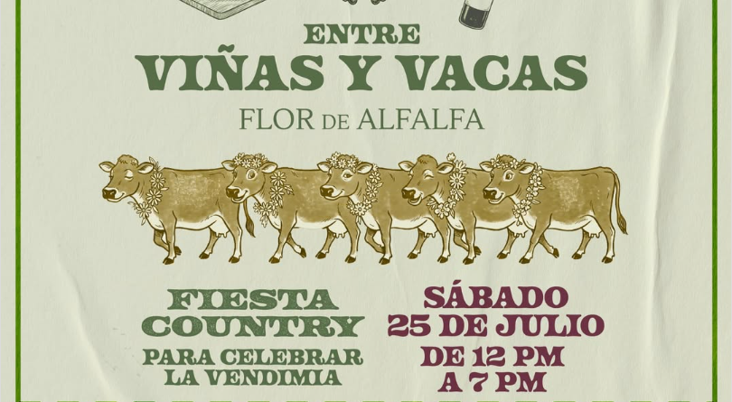 Querétaro prepara fiesta campirana con vino, pisado de uvas y desfile de vacas Jersey