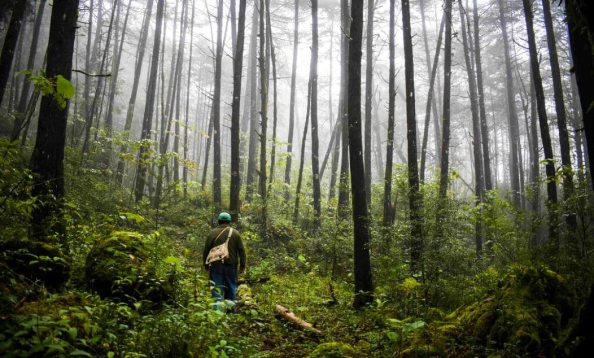 Sierra Gorda concentra la oferta de turismo de naturaleza en Querétaro
