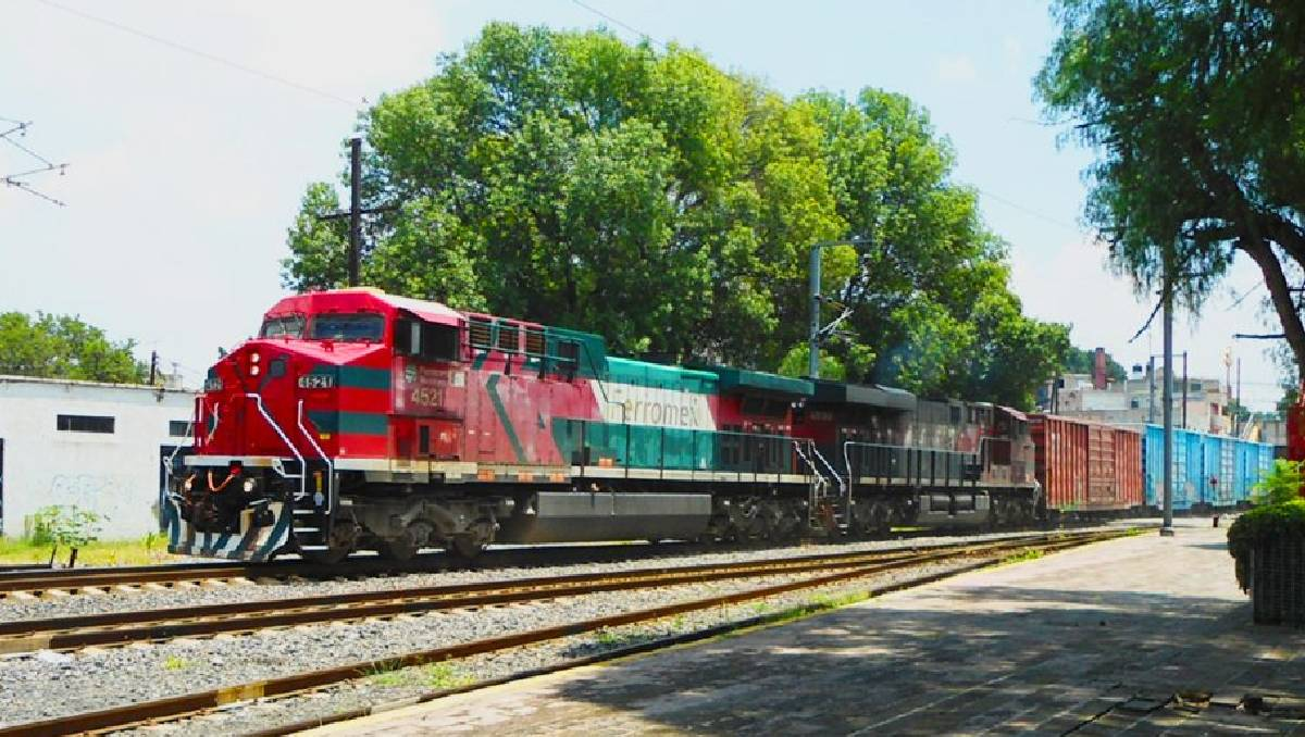 Inician mapeo de árboles en antigua estación de Querétaro por obras del Tren México-Querétaro